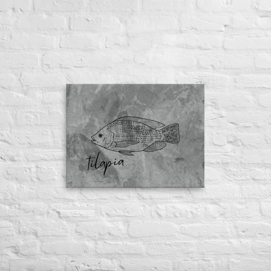 Tilapia Canvas